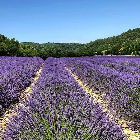 Eden - Daire Gréoux-les-Bains